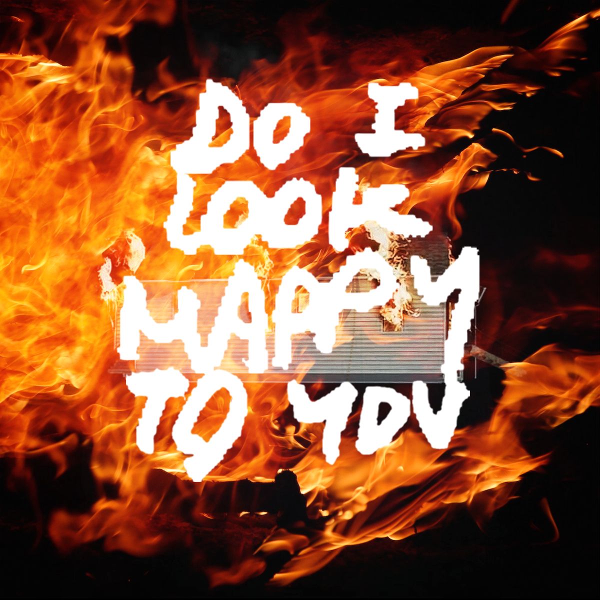 do i look happy to you